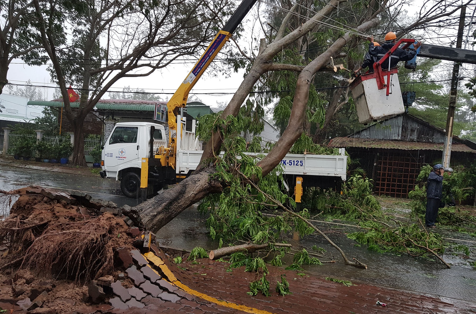 Can Gio tang hoang trong bao anh 5