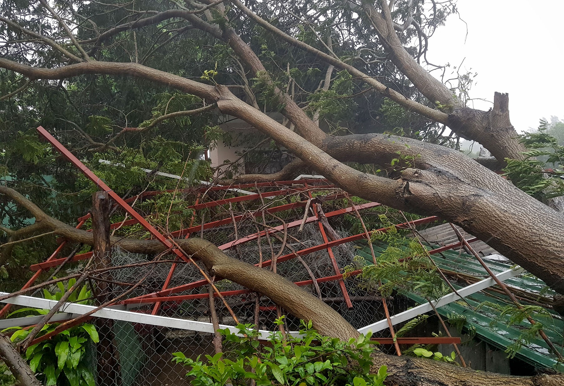 Can Gio tang hoang trong bao anh 6