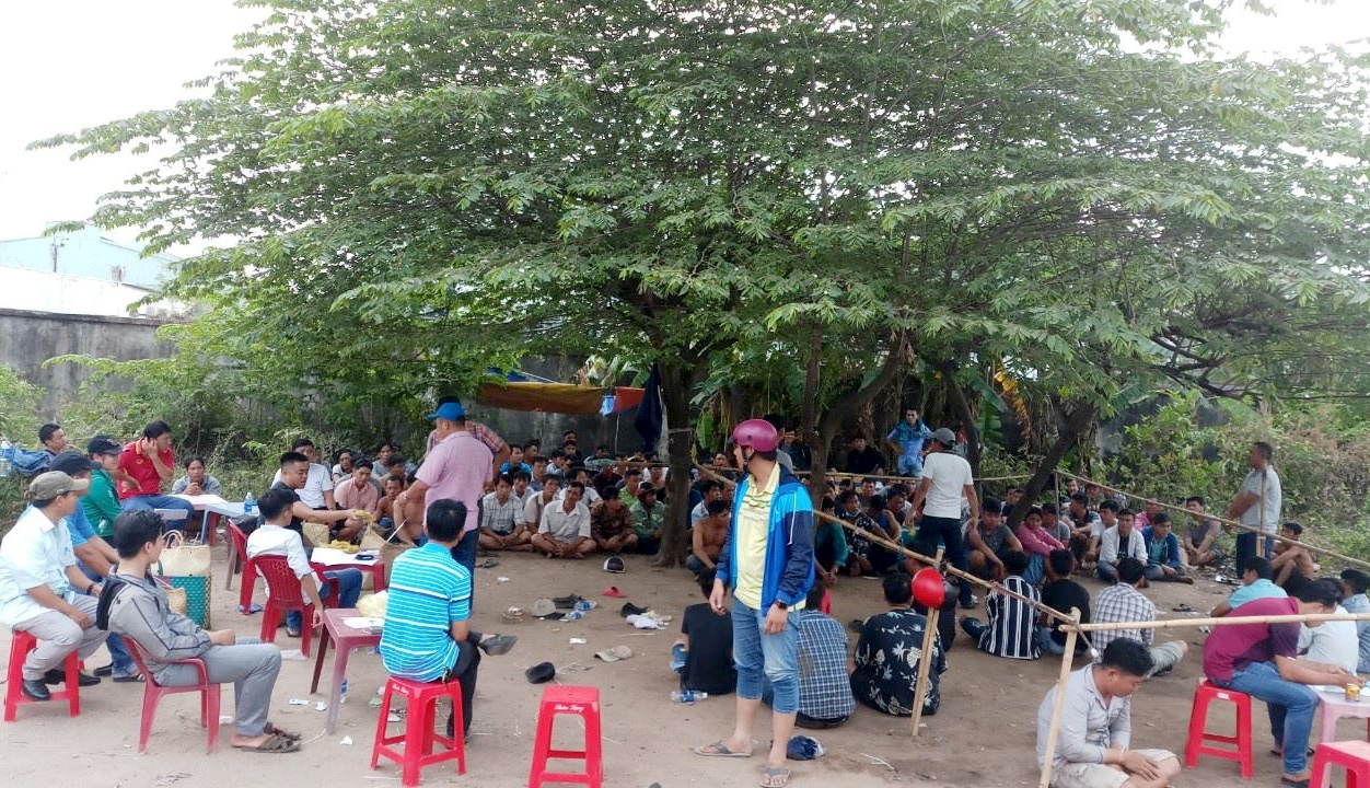 bắt trường gà ở sài gòn ảnh 1 bat truong ga o sai gon anh 1