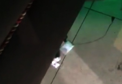 bắt ma túy trong quán bar ảnh 2 bat ma tuy trong quan bar anh 2