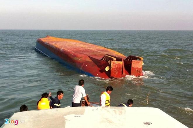 chim tau nao vet o can gio anh 1