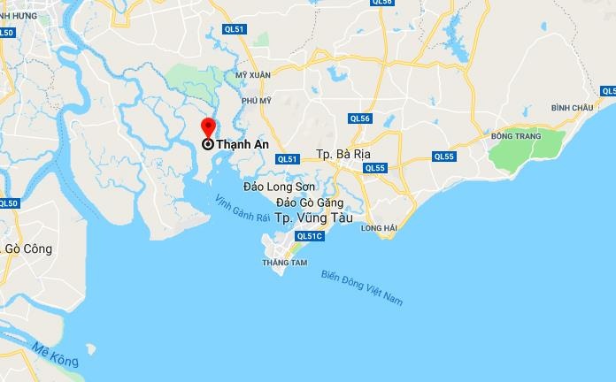 chim tau nao vet o can gio anh 2