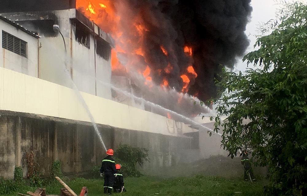 chay lon o binh duong anh 2