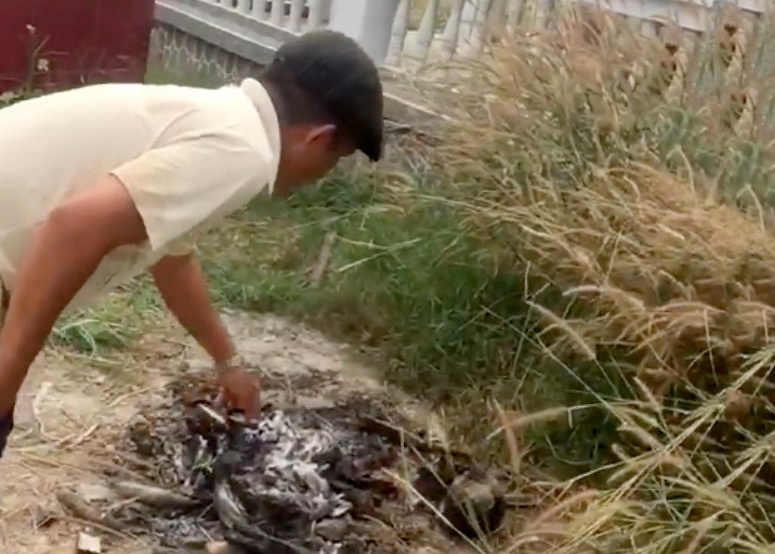 giet nguoi dot xac phi tang anh 1