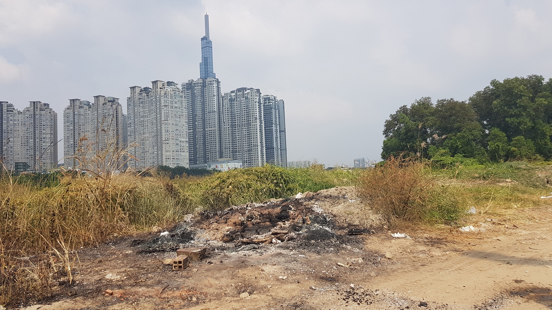 nguoi phu nu han quoc bi sat hai anh 8