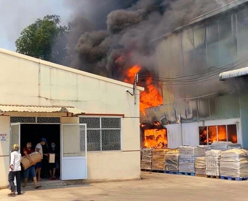 chay lon o binh duong anh 1