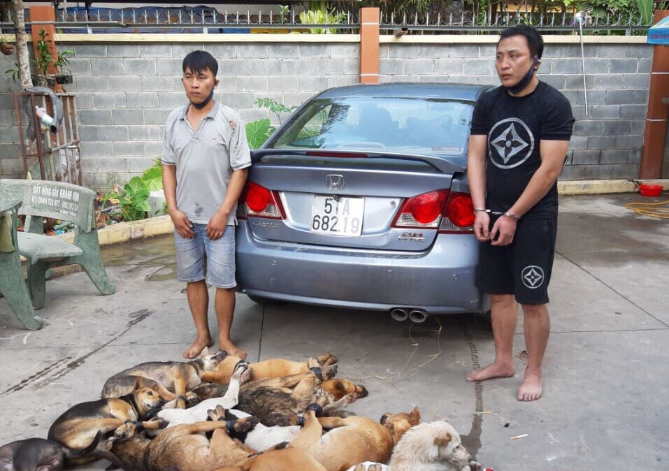 lái ôtô đi trộm chó ở bình dương ảnh 1 lai oto di trom cho o binh duong anh 1