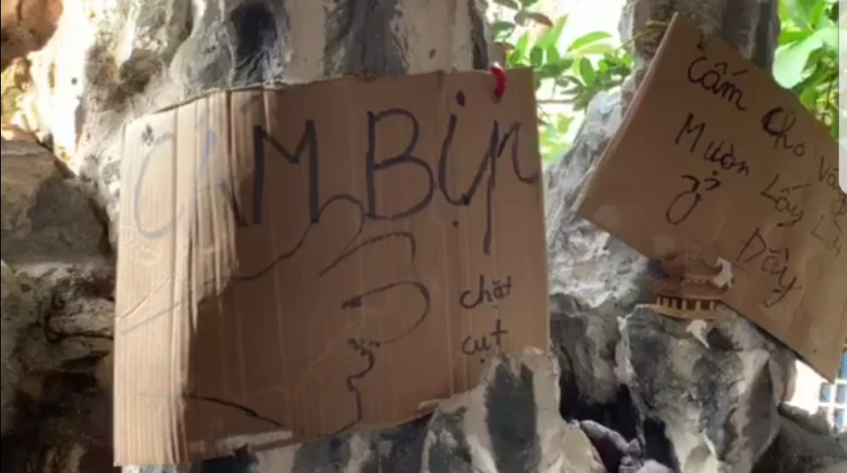 Soi bac o TP.HCM doa chat cut tay nguoi choi bip hinh anh