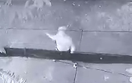 nha bao bi tat mam tom anh 1