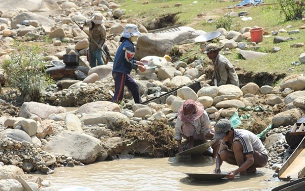 Bat nghi pham dam chet phu vang hinh anh