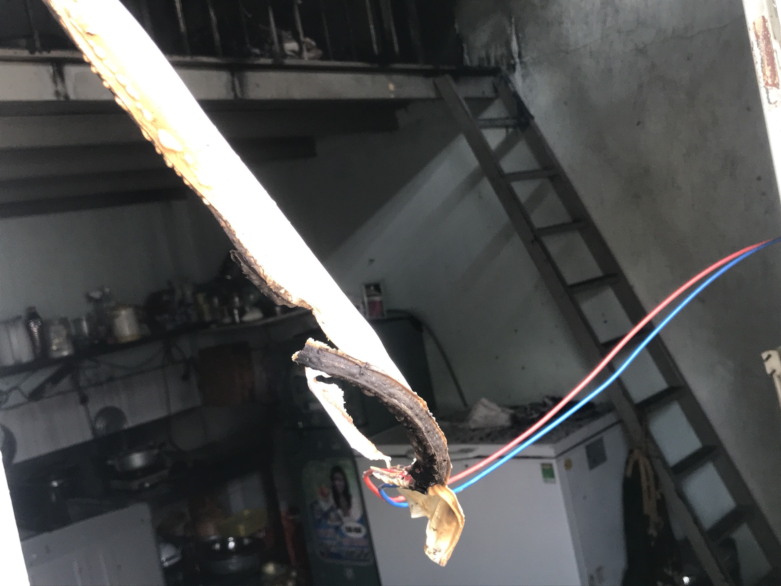 Chay nha o TP.HCM anh 5