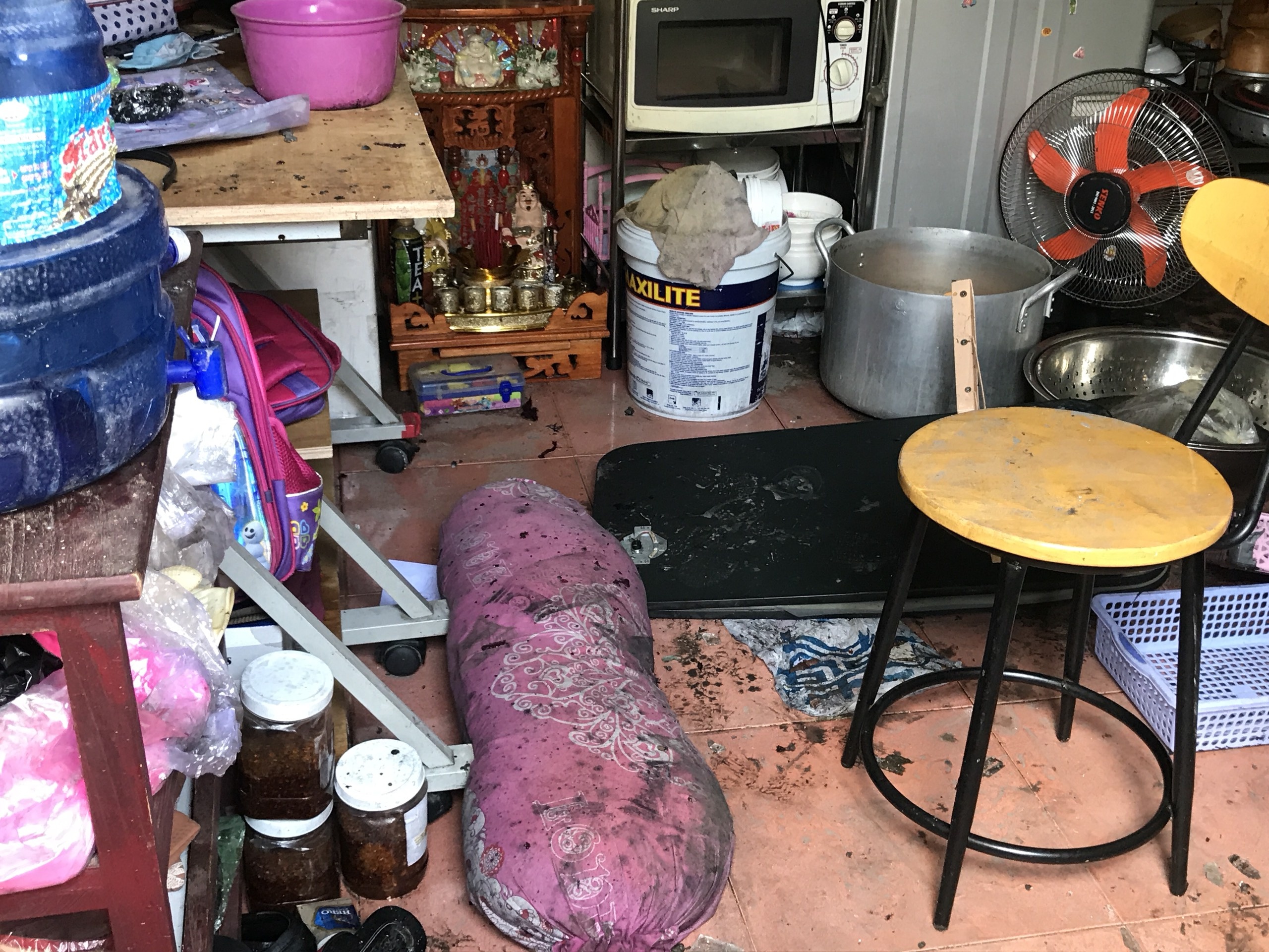 Chay nha o TP.HCM anh 3