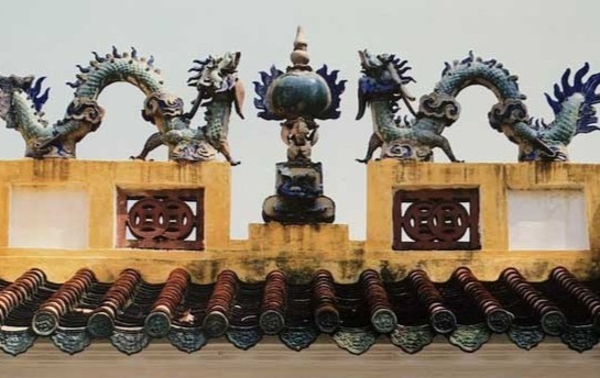 Bat ke trom trai chau 100 tuoi o lang Ong Ba Chieu hinh anh