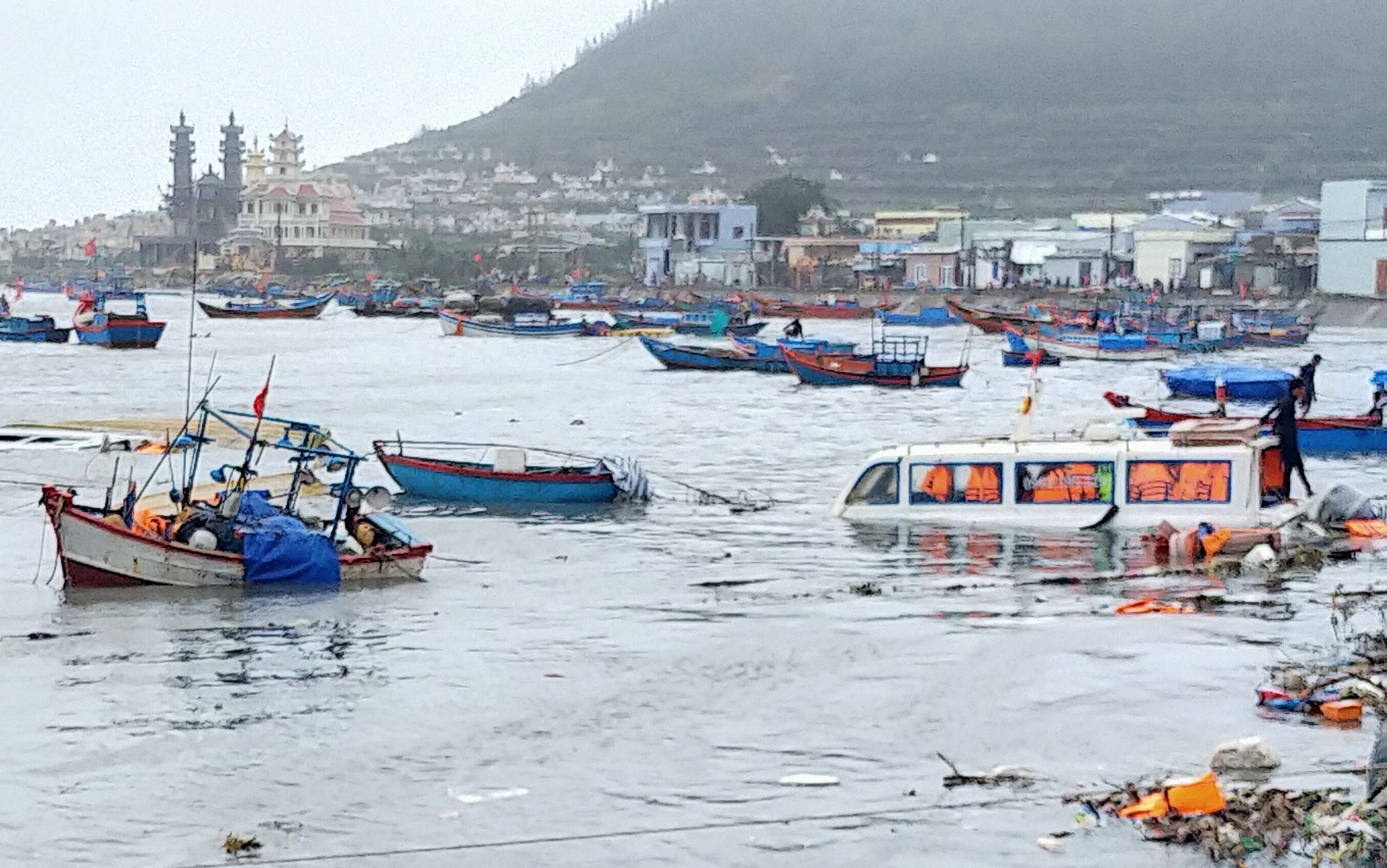 dao ly son sau bao so 9 anh 3