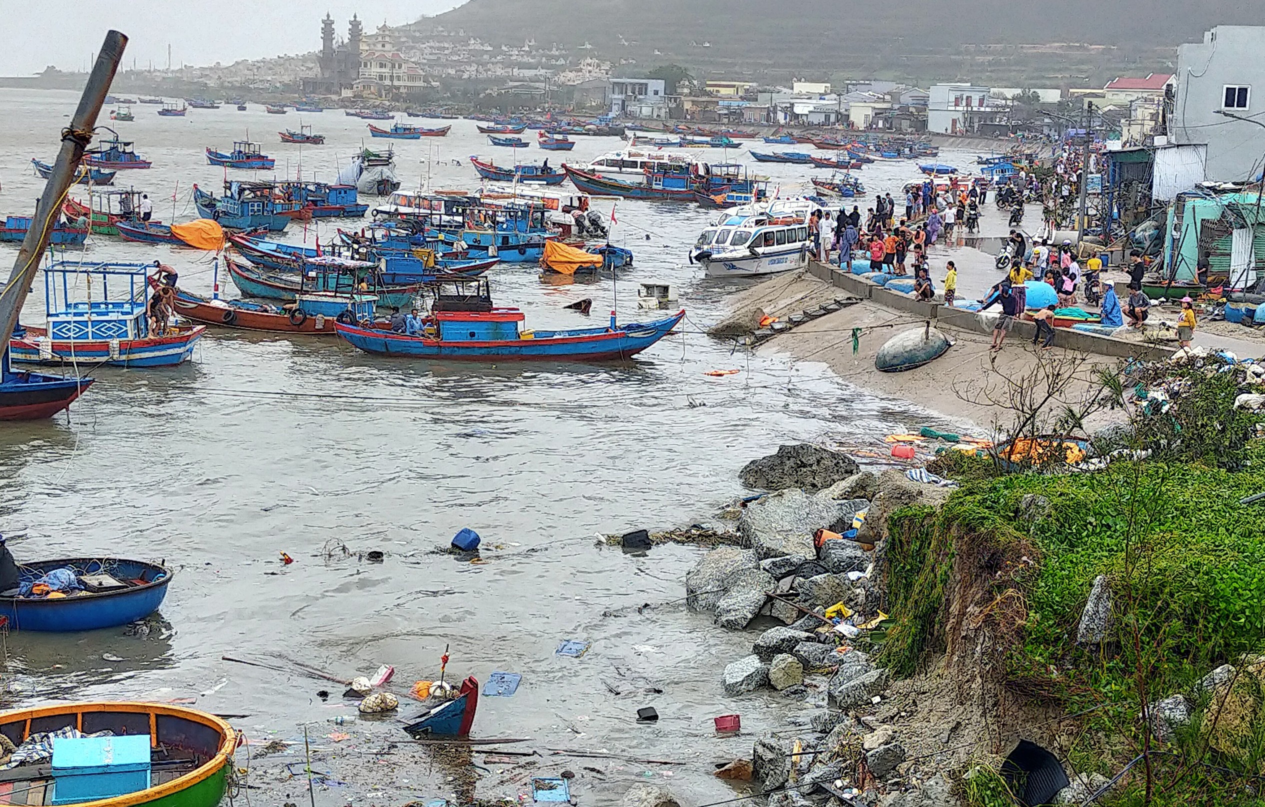 dao ly son sau bao so 9 anh 1