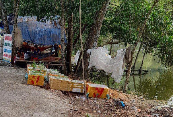 Hai be gai duoi nuoc o Binh Duong hinh anh