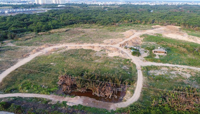 Khoi to pho tong giam doc Cong ty Tan Thuan hinh anh