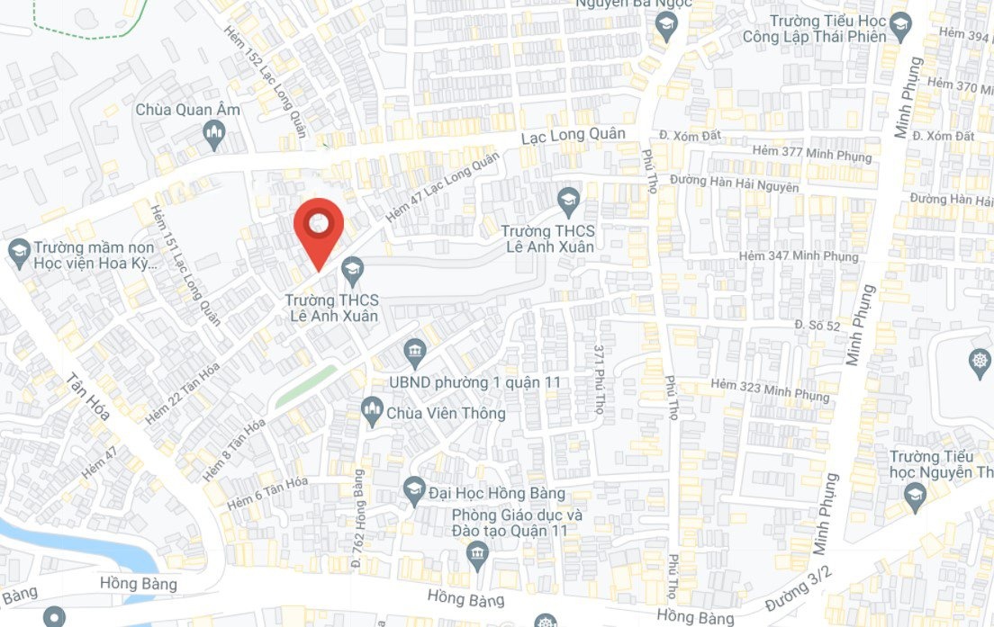 chay lon o TP.HCM anh 2