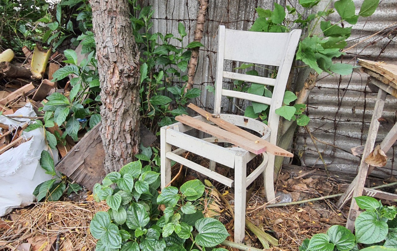 cướp xe máy ở TP.HCM ảnh 1 cuop xe may o TP.HCM anh 1