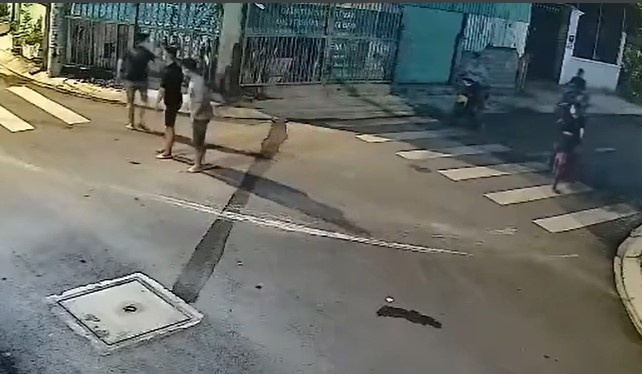 cướp xe máy ở TP.HCM ảnh 2 cuop xe may o TP.HCM anh 2