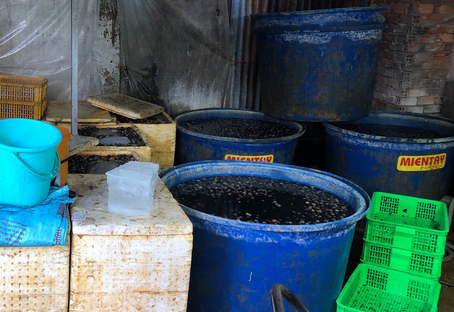 phat hien oc ngam hoa chat anh 1