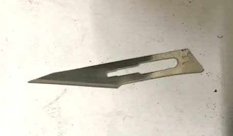 bang dan canh moc tui sa luoi anh 2