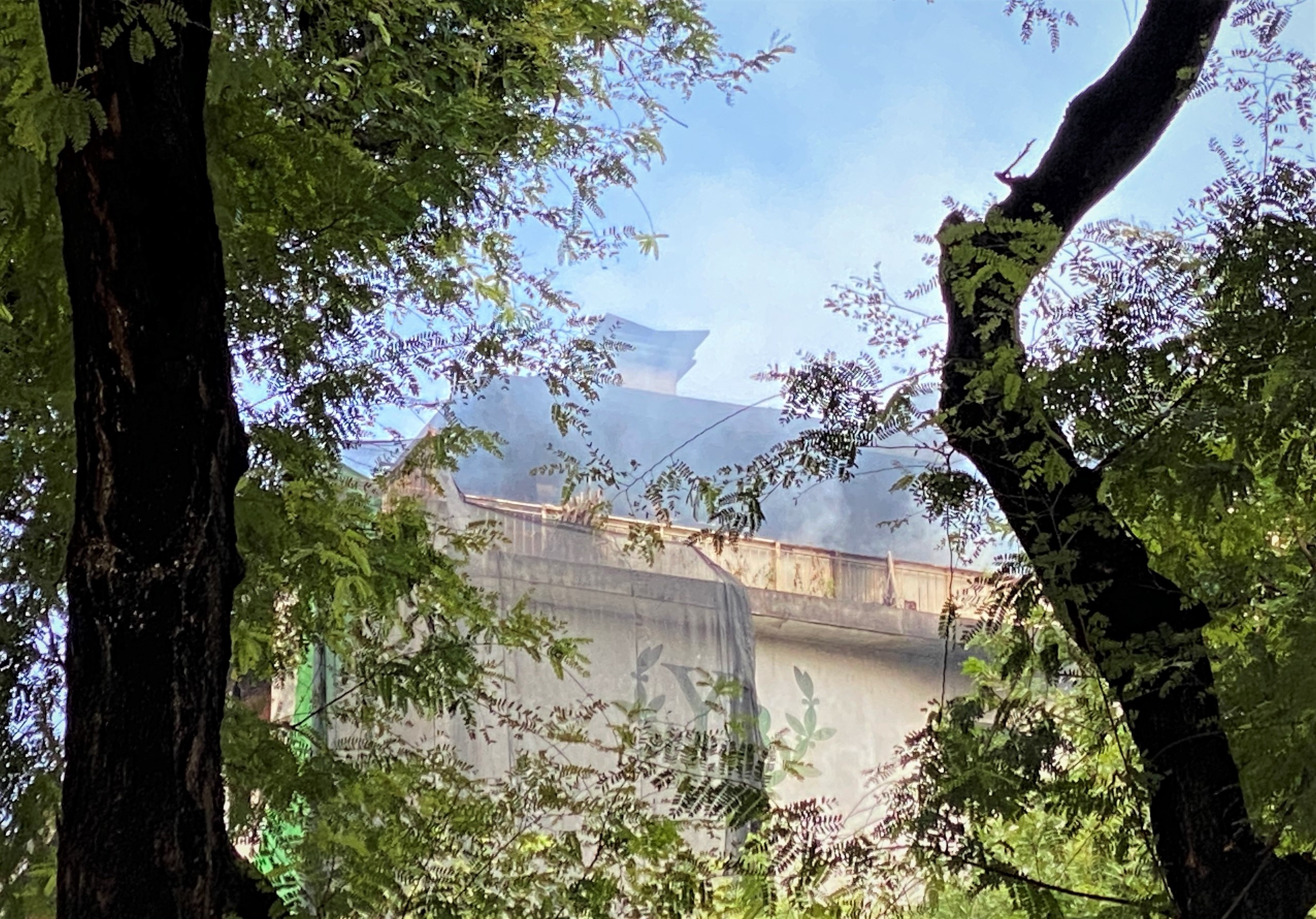 chay lon o TP.HCM anh 2