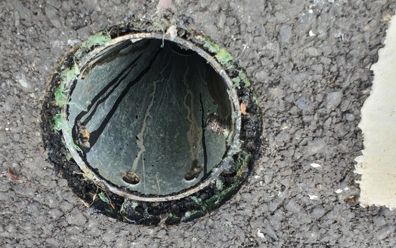 trom nap chan rac o TP.HCM anh 2