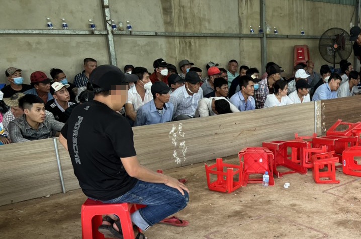 Bat qua tang 126 con bac o TP.HCM hinh anh