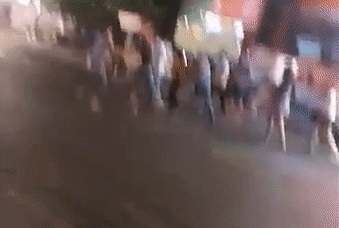 Hon chien sau va cham xe o TP.HCM hinh anh