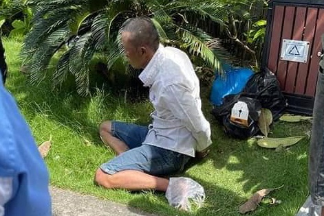 Ga dan ong co bieu hien ngao da dam nhieu nguoi o TP.HCM hinh anh
