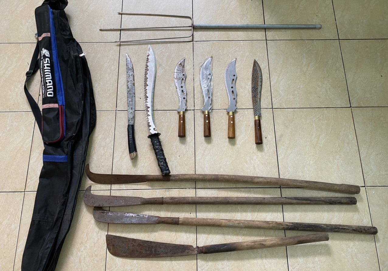 hon chien o Go Vap anh 2