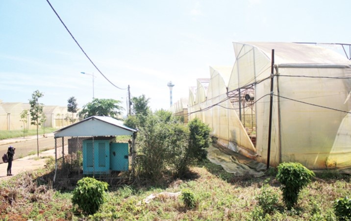 bắt ông Nguyễn Ngọc Phương ảnh 1 bat ong Nguyen Ngoc Phuong anh 1