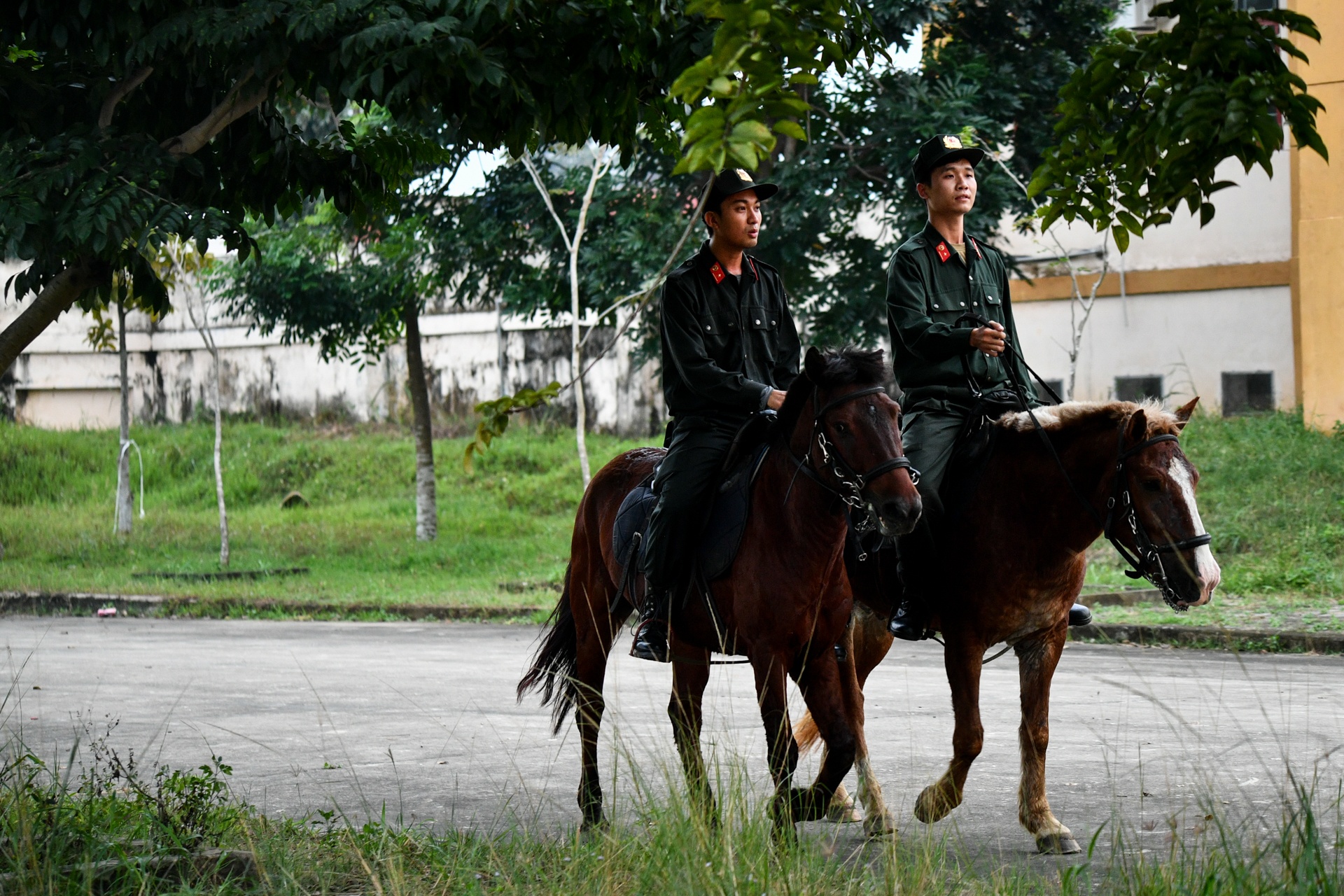 ky binh o TP.HCM anh 1