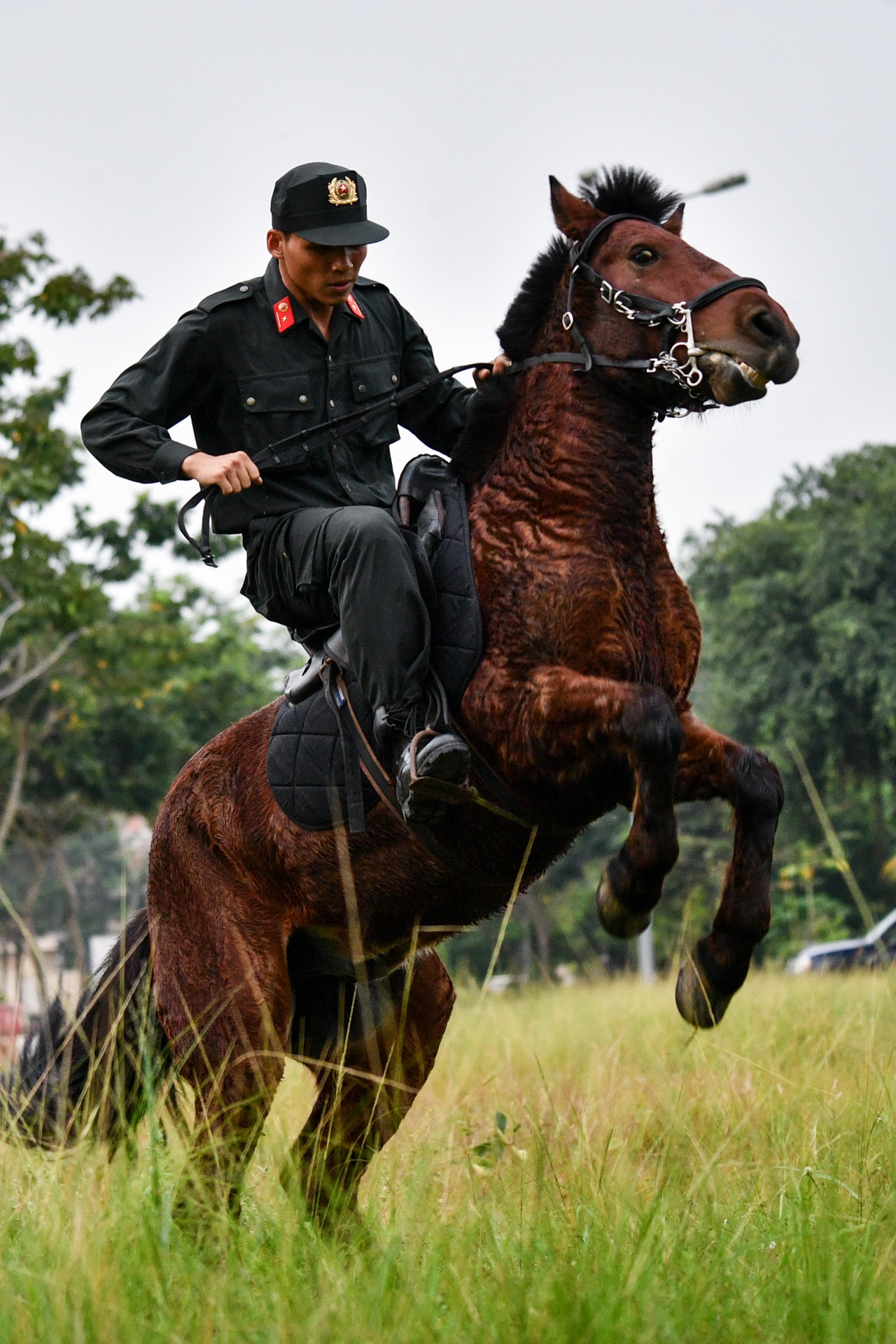 ky binh o TP.HCM anh 4