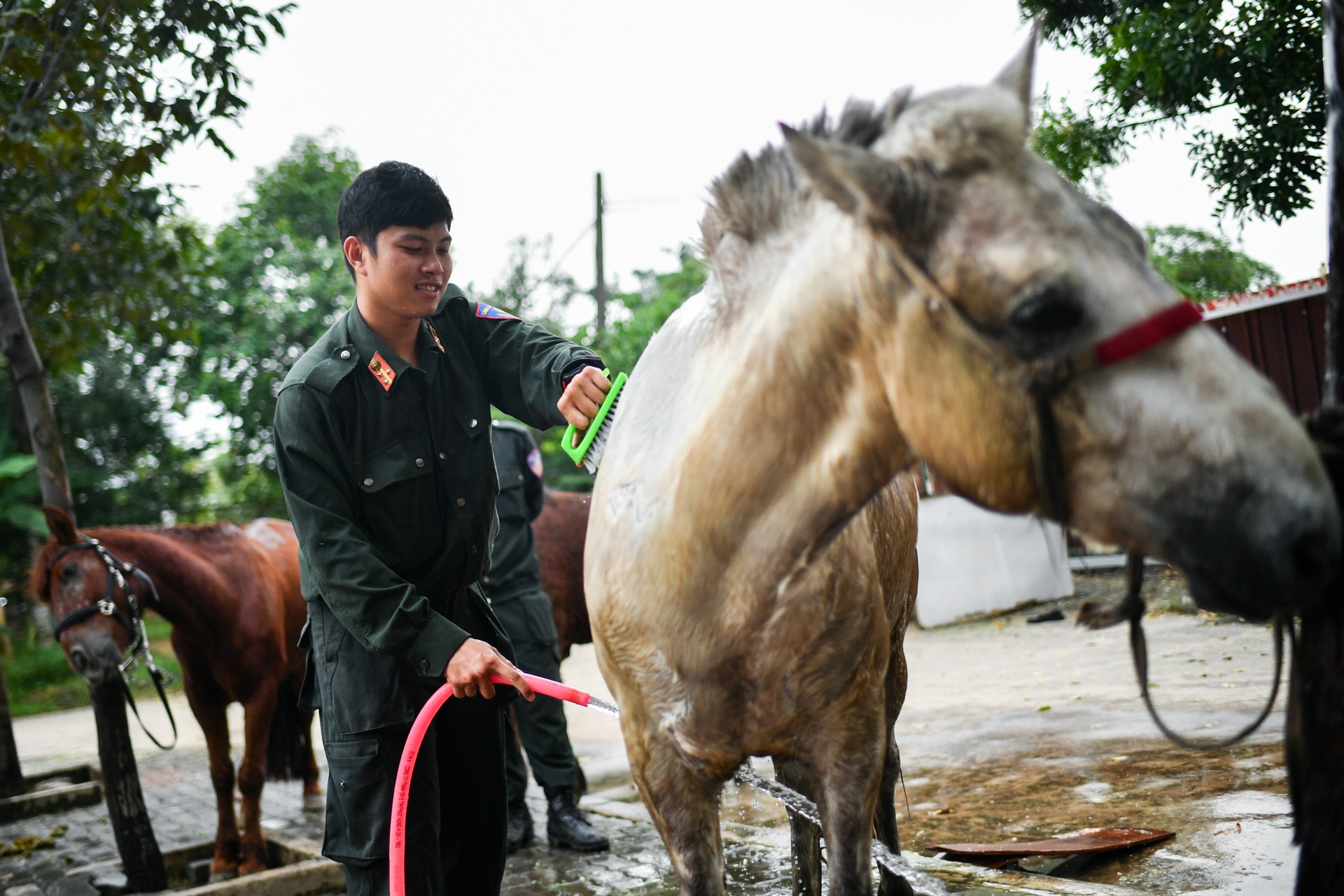 ky binh o TP.HCM anh 7