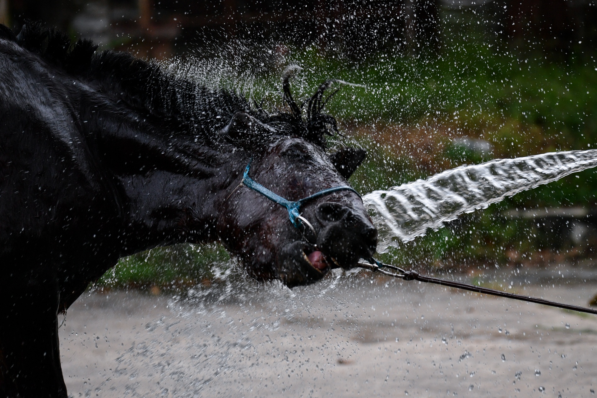 ky binh o TP.HCM anh 8