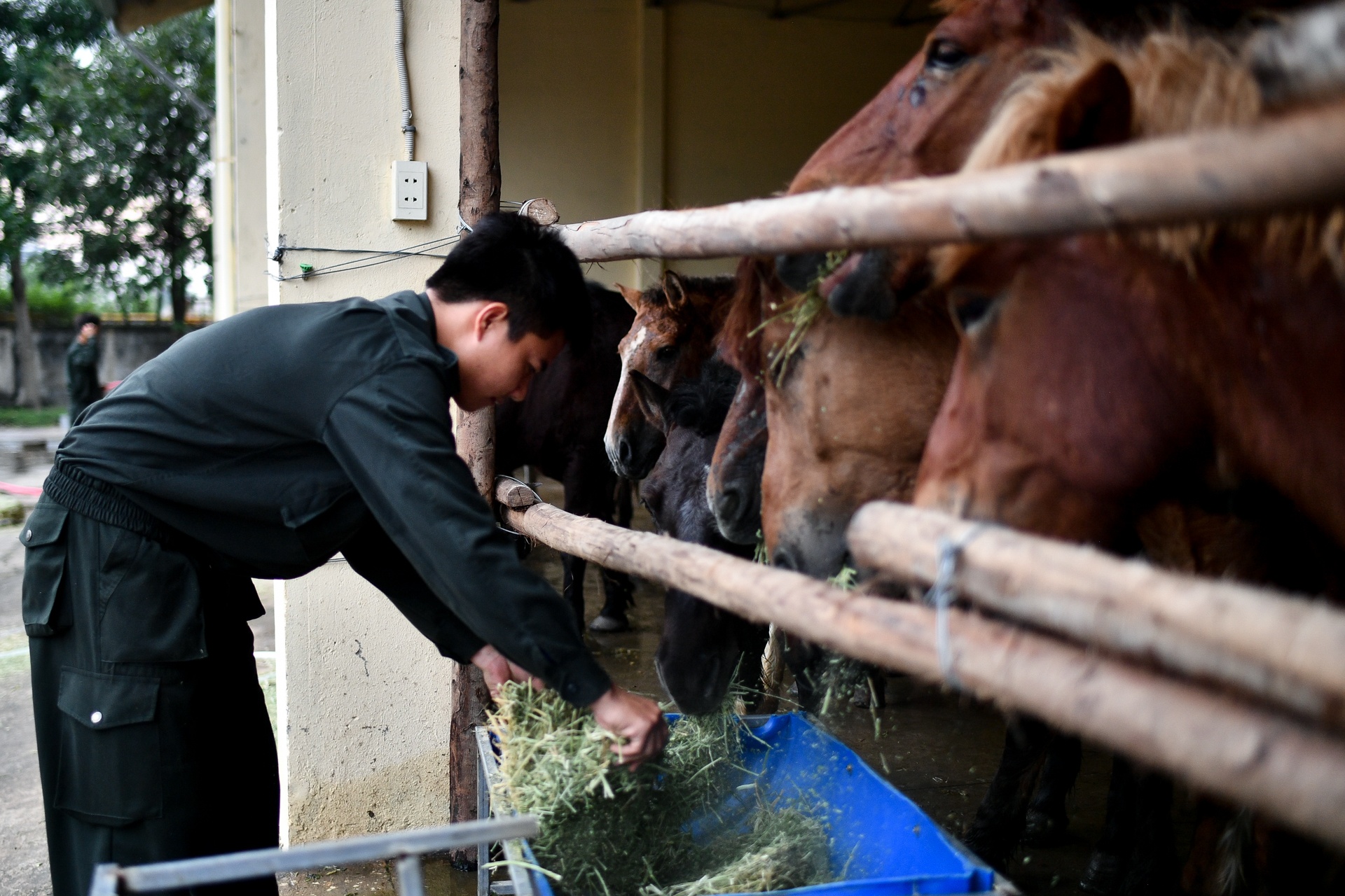 ky binh o TP.HCM anh 9