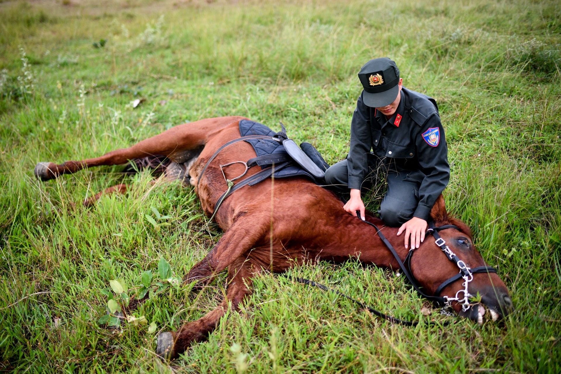 ky binh o TP.HCM anh 5