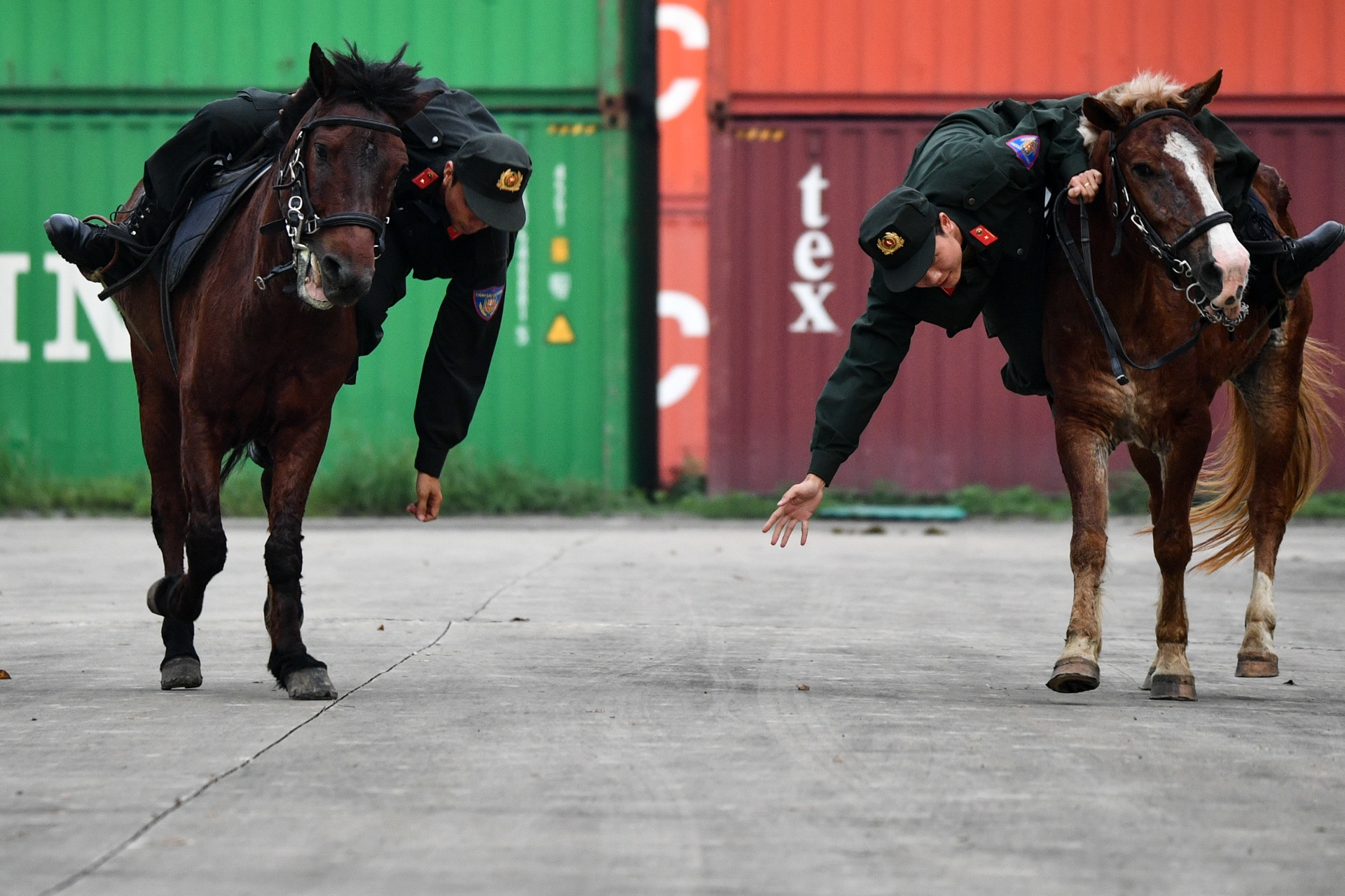 ky binh o TP.HCM anh 3