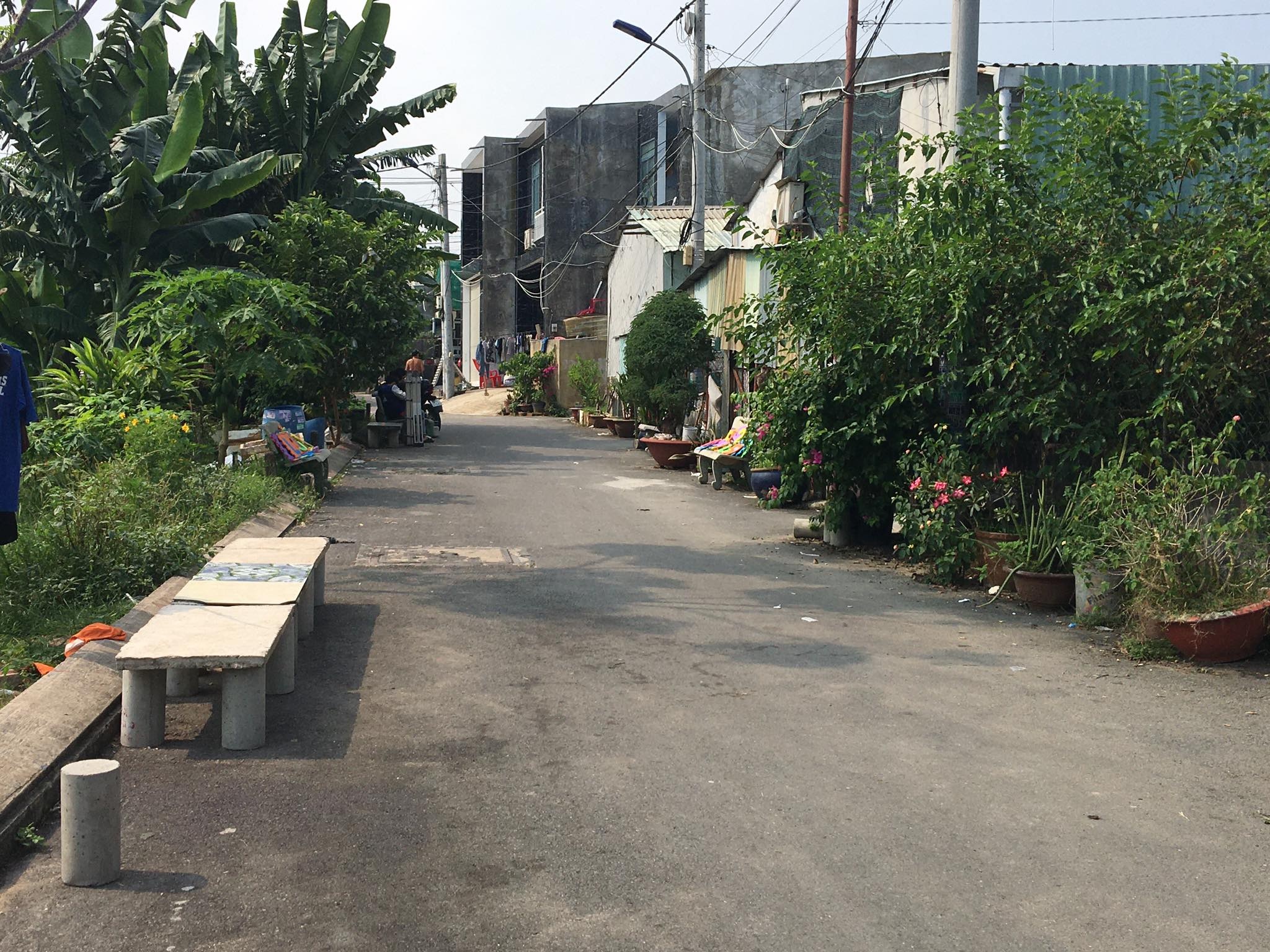 an mang o TP.HCM anh 1