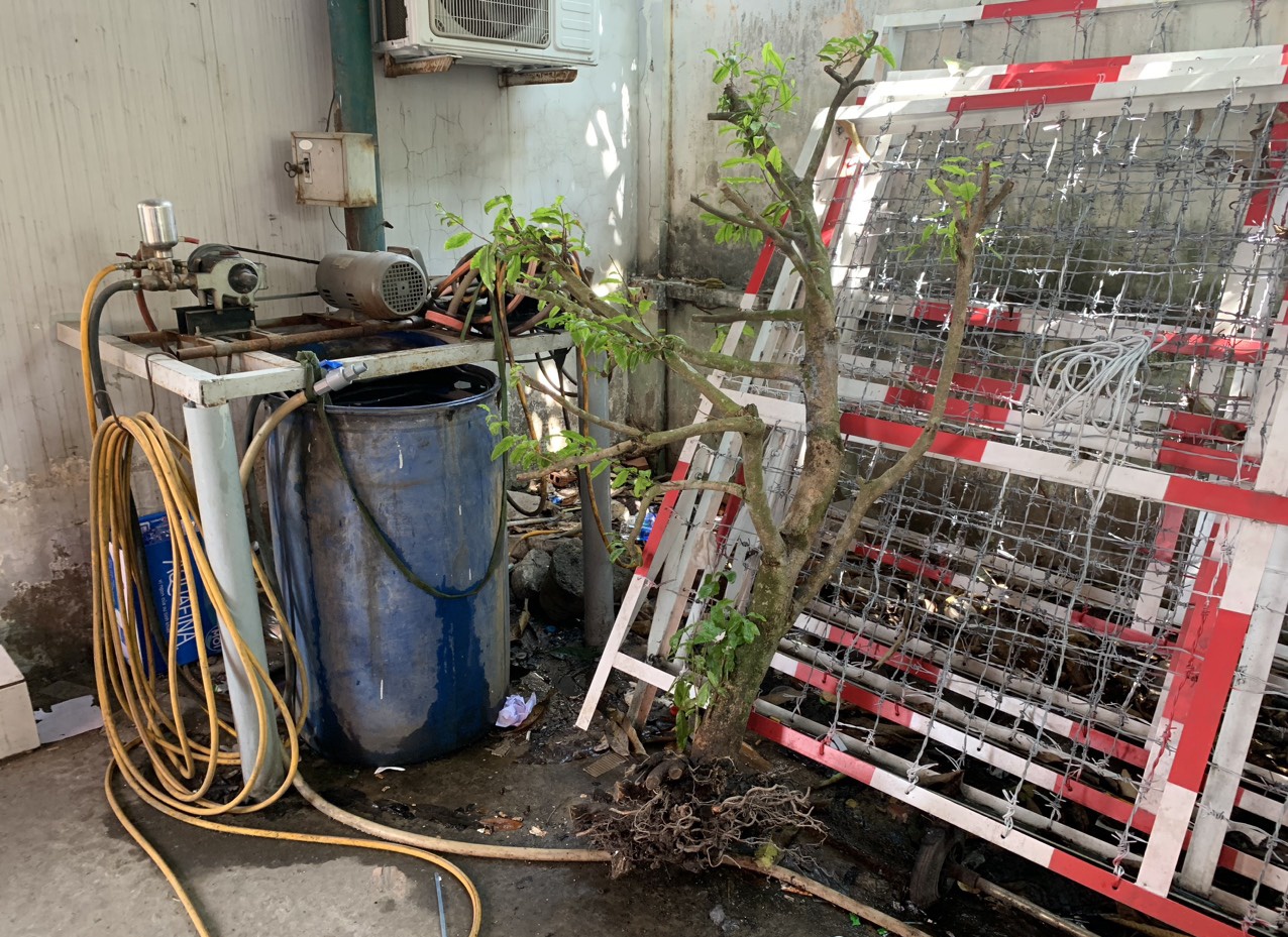 trom mai o TP.HCM anh 2