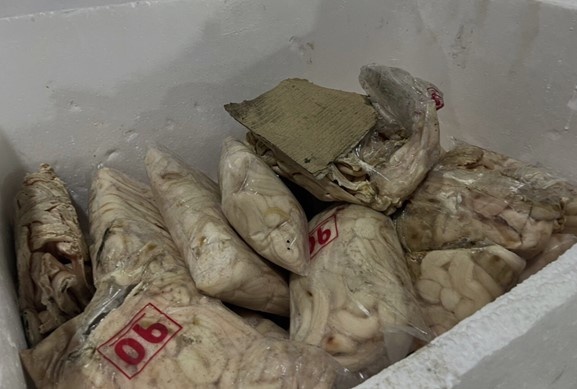 Thuc pham Long Phat anh 1