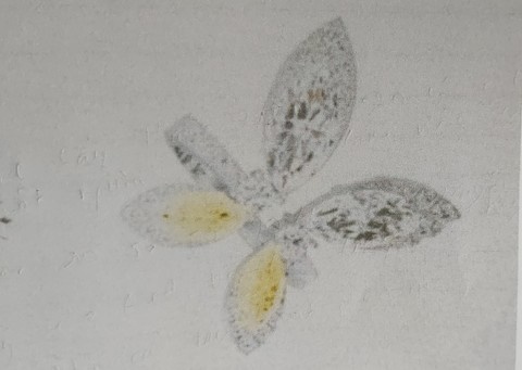 Truy tim nhieu nu trang trong vu trom biet thu ca si Ho Ngoc Ha hinh anh