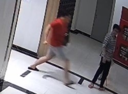 Camera ghi canh chu cho tha rong danh nguoi o TP.HCM hinh anh