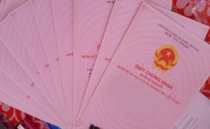 De nghi truy to giam doc Cong ty KingLand chi nhanh Binh Duong hinh anh