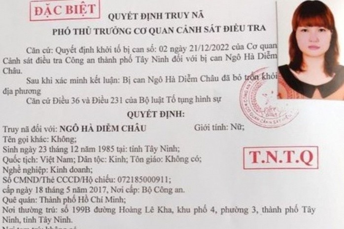 Truy na hot girl lua dao, su dung tai lieu gia hinh anh