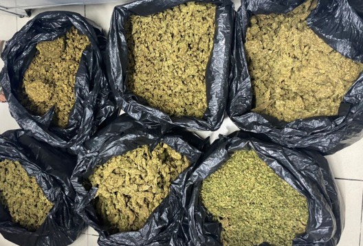 pha duong day ma tuy anh 1