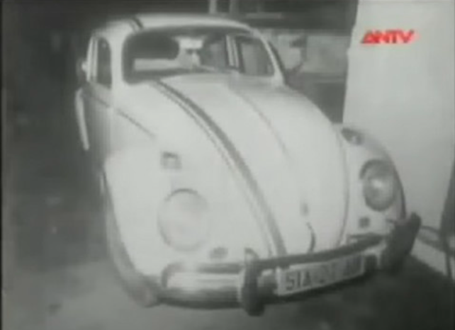 nghe si Thanh Nga anh 2