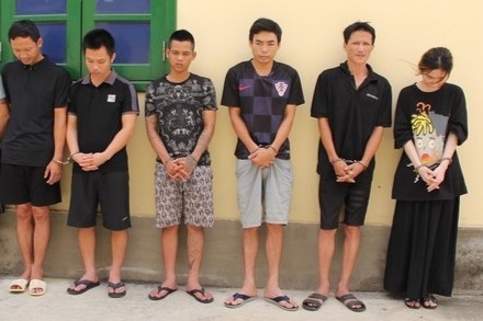 Bi vay bat, nghi pham cam dau duong day ma tuy rut dao chong tra hinh anh